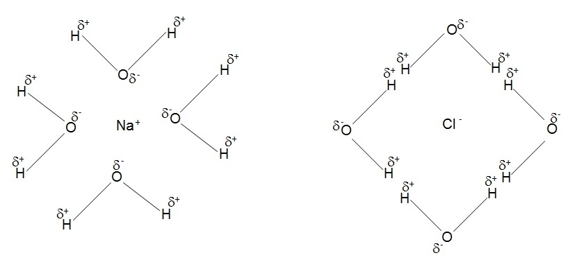 Notes on Introduction to Water | Grade 11 > Chemistry > Water ...