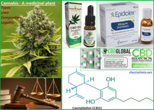 Cannabis – Types, Chemicals (THC/CBD), Medical benefits and Legalization.