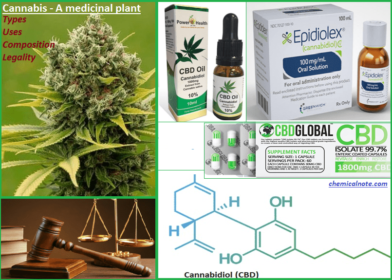 Cannabis – Hemp vs Marajuana, Types, Chemicals, Medical Uses and Legality