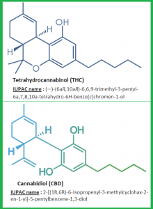 medical cannabis and chronic pain evidence