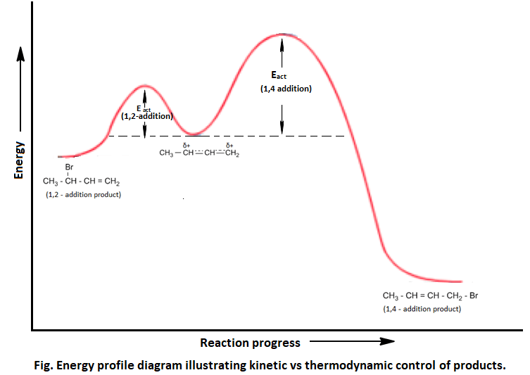 kinetic and thermodynamic control of the reaction