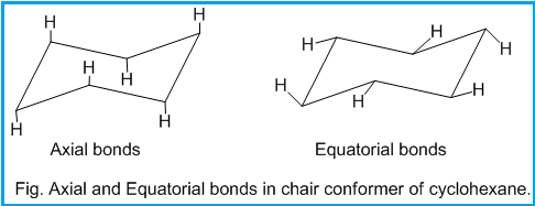 Equatorial and axial bonds in cyclohexane