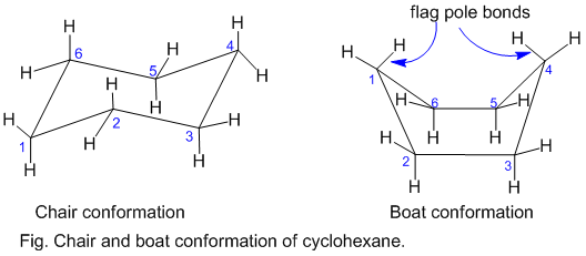 Different conformations of cyclohexane and their stability