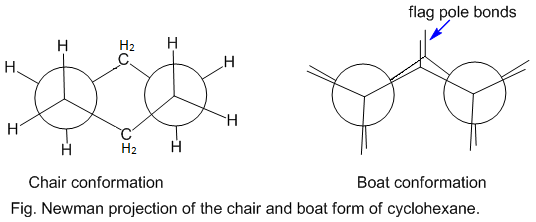 Different conformations of cyclohexane and their stability