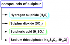 Sulphur and it’s compounds – Basic note