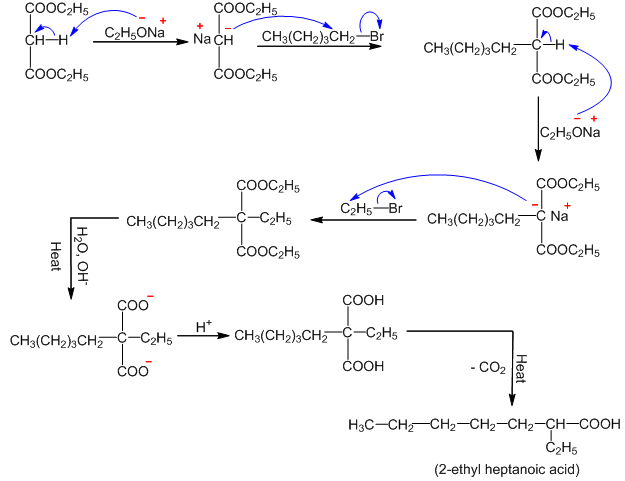 synthesis of 2-ethyl heptanoic acid from malonic ester