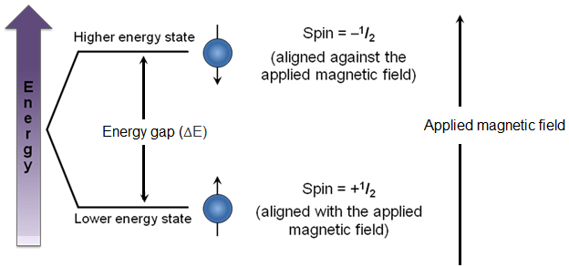Nuclear magnetic resonance (NMR) spectroscopy